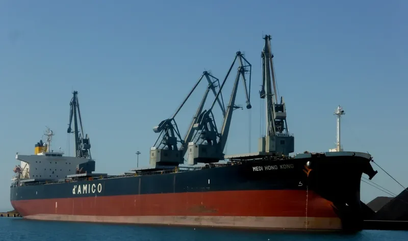 MEDI HONG KONG Bulk Carrier IMO 9301043 photo 3