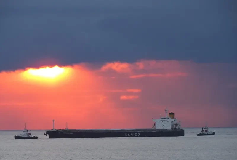 MEDI HONG KONG Bulk Carrier IMO 9301043 photo 4