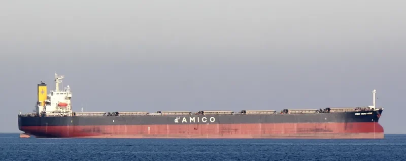 MEDI HONG KONG Bulk Carrier IMO 9301043 photo 6