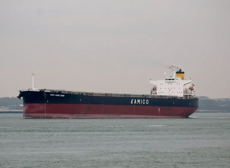 MEDI HONG KONG Bulk Carrier IMO 9301043 photo 8