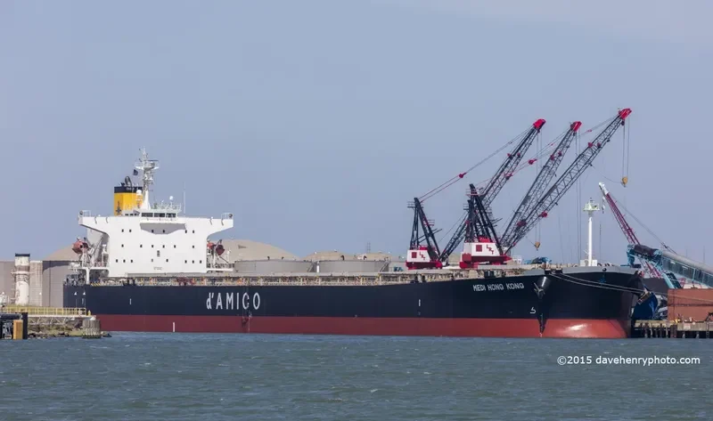 MEDI HONG KONG Bulk Carrier IMO 9301043 photo 10