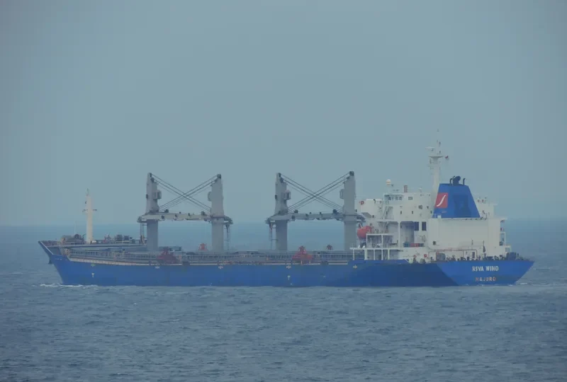 RIVA WIND Bulk Carrier IMO 9301196 photo 4
