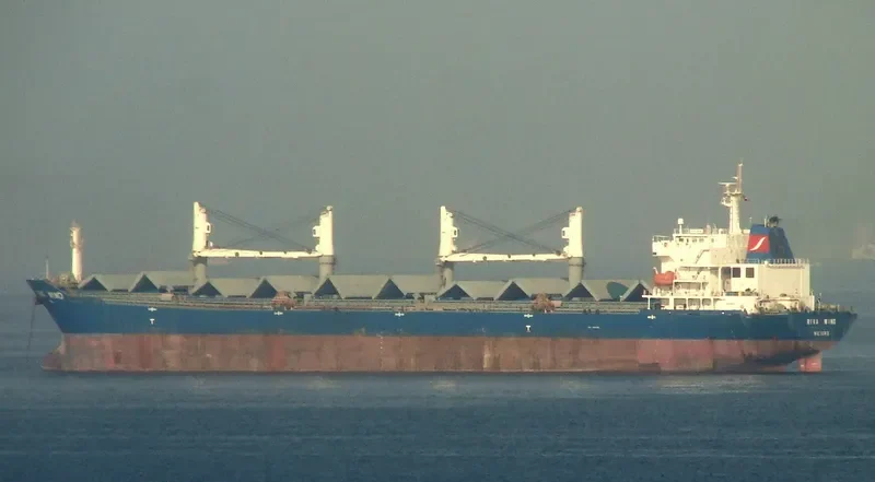 RIVA WIND Bulk Carrier IMO 9301196 photo 6