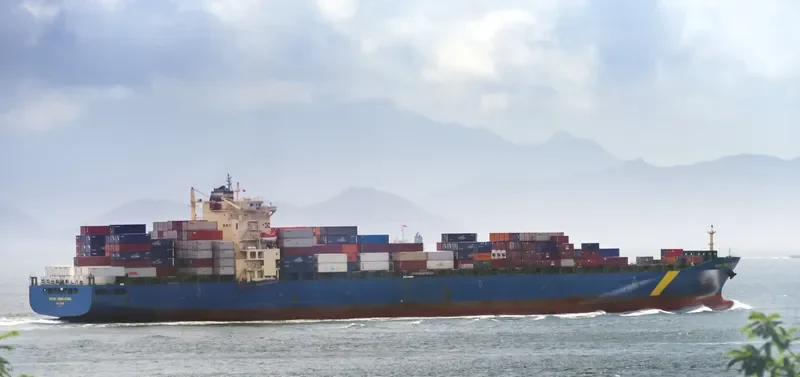 XIN FENG YANG PU Container Ship IMO 9301330