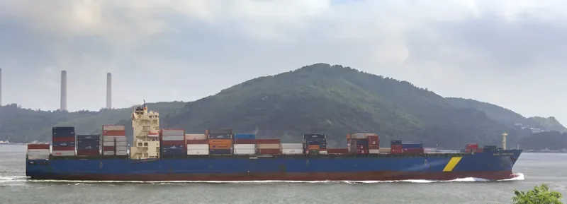 XIN FENG YANG PU Container Ship IMO 9301330 photo 2