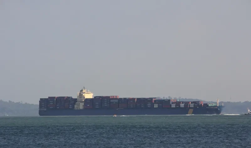 XIN FENG YANG PU Container Ship IMO 9301330 photo 6