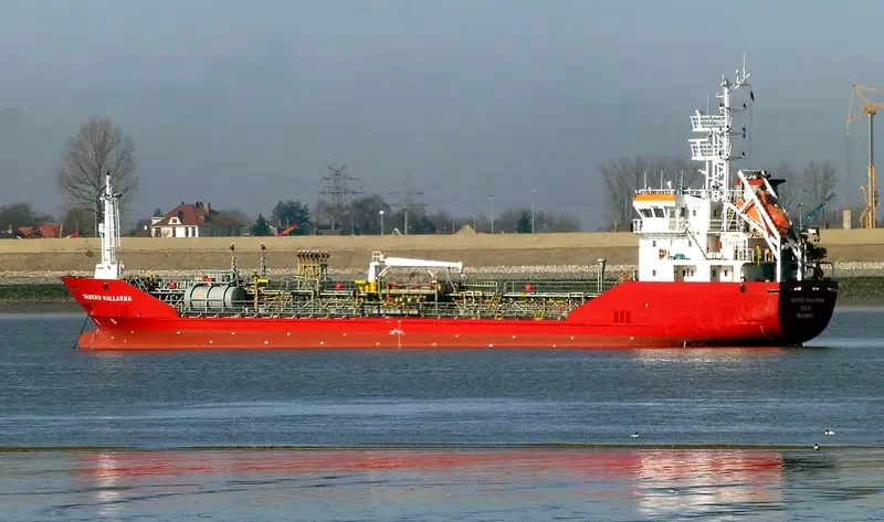 DANIELA MELISSA General Cargo IMO 9302011 photo 6