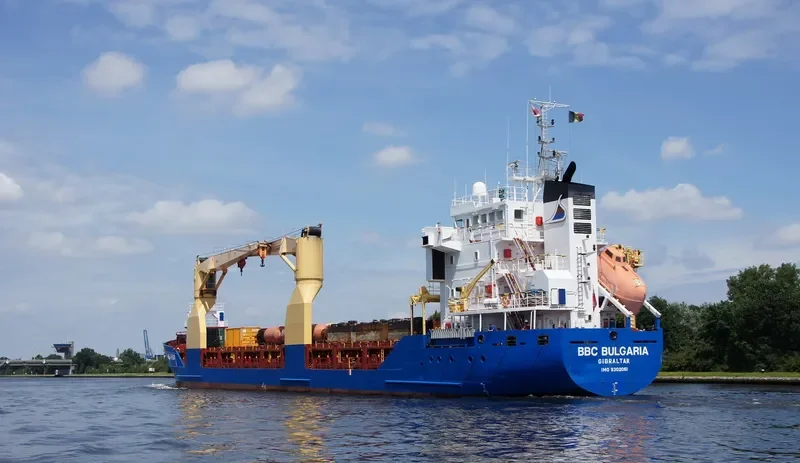 DONA CAROLINE JOY Container Ship IMO 9302061 photo 3