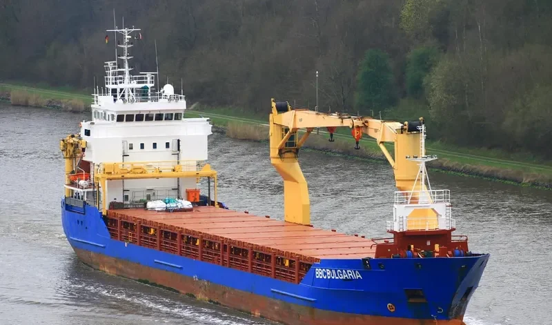 DONA CAROLINE JOY Container Ship IMO 9302061 photo 7
