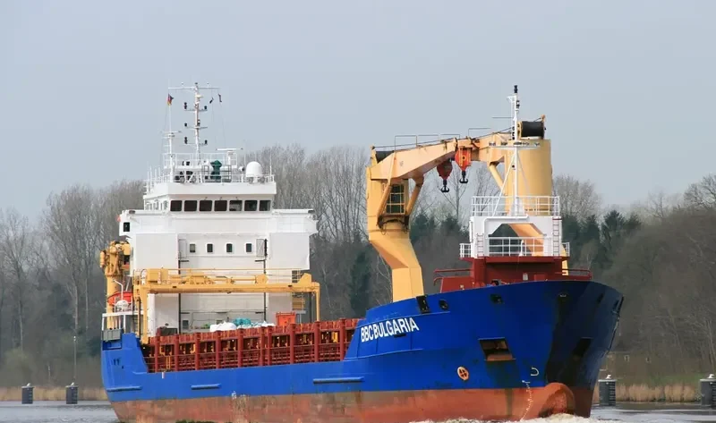 DONA CAROLINE JOY Container Ship IMO 9302061 photo 9