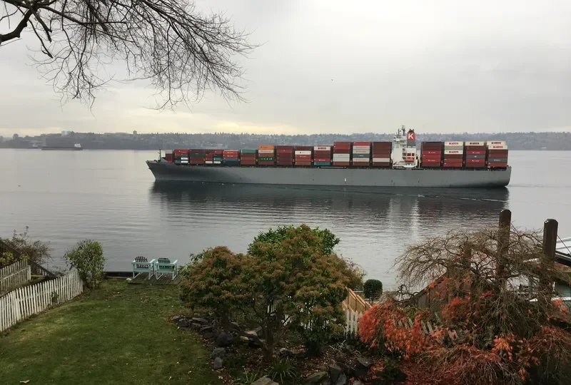 MSC ANAHITA Container Ship IMO 9302085