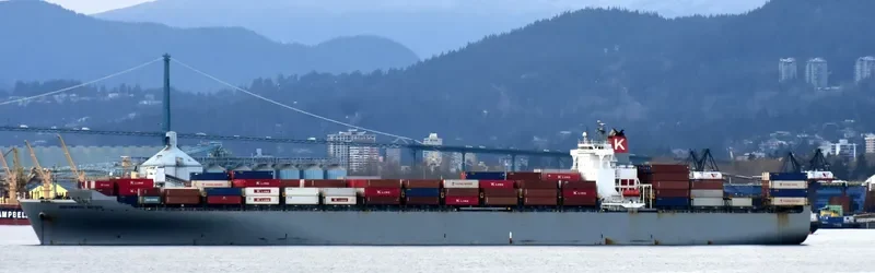 MSC ANAHITA Container Ship IMO 9302085 photo 4