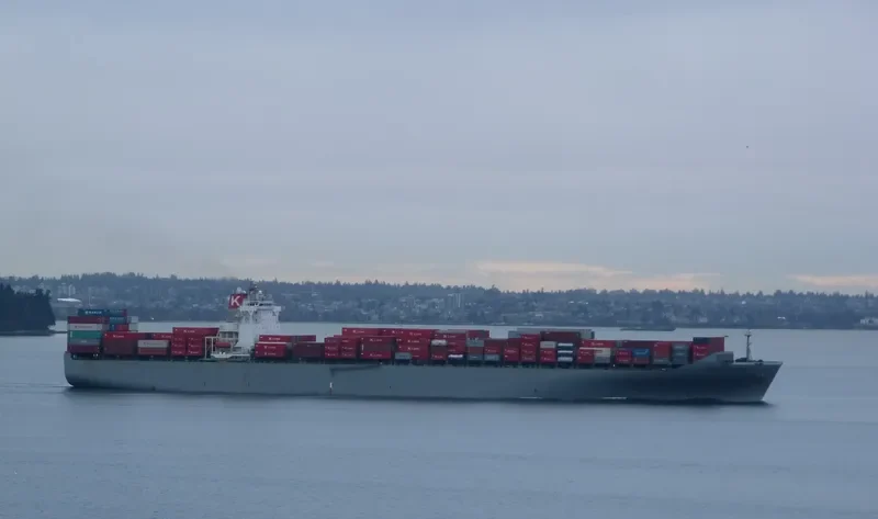 MSC ANAHITA Container Ship IMO 9302085 photo 39