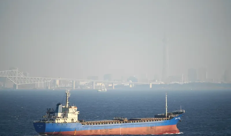 RICH OCEAN General Cargo IMO 9302293 photo 10