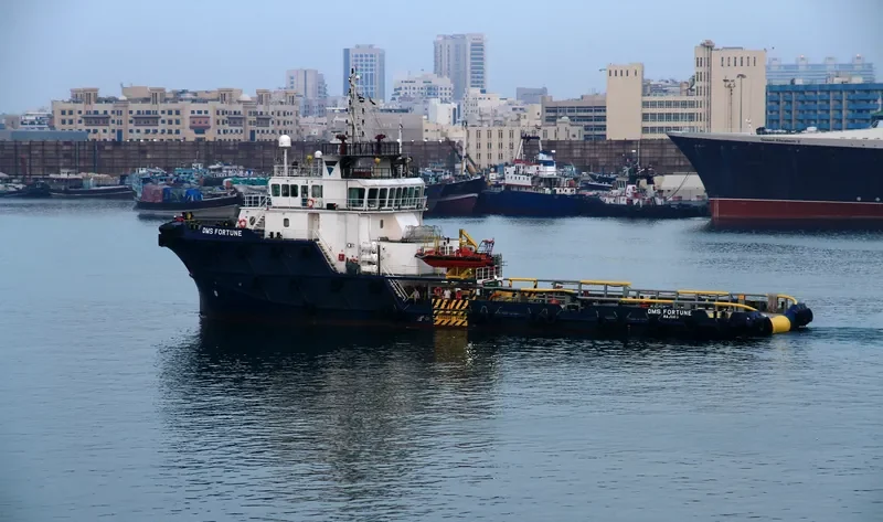 DMS FORTUNE Offshore Vessel IMO 9302360