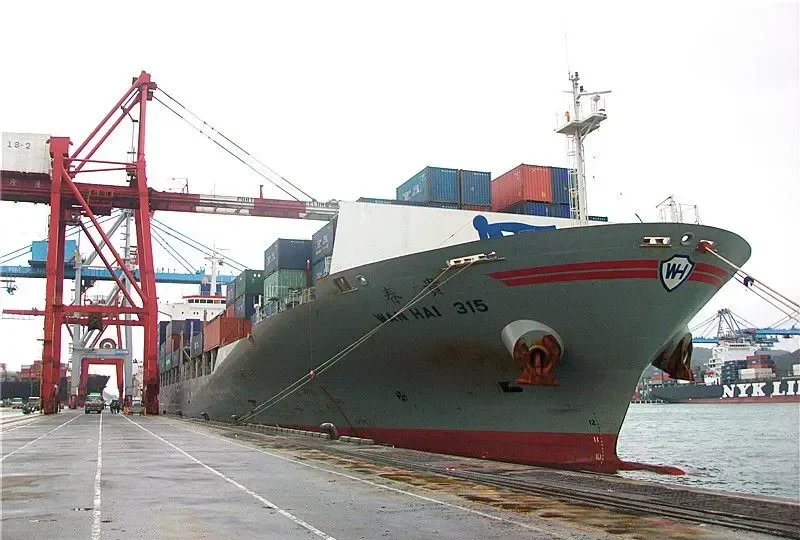 WAN HAI 315 Container Ship IMO 9302695 photo 3