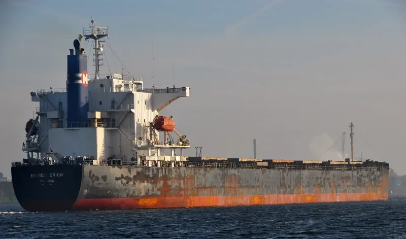 ORION III Bulk Carrier IMO 9302748 photo 8
