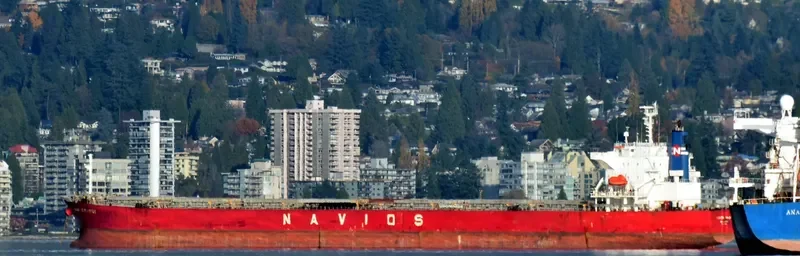 NAVIOS TAURUS Bulk Carrier IMO 9302762 photo 5