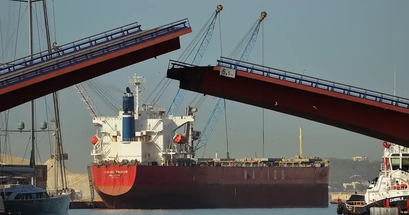 NAVIOS TAURUS Bulk Carrier IMO 9302762 photo 7