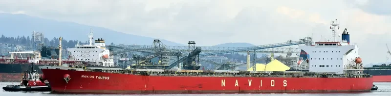 NAVIOS TAURUS Bulk Carrier IMO 9302762 photo 9