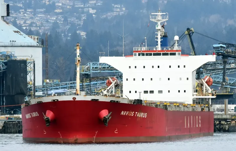 NAVIOS TAURUS Bulk Carrier IMO 9302762 photo 10