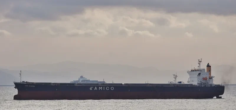 OMICRON LIGHT Bulk Carrier IMO 9302774 photo 6