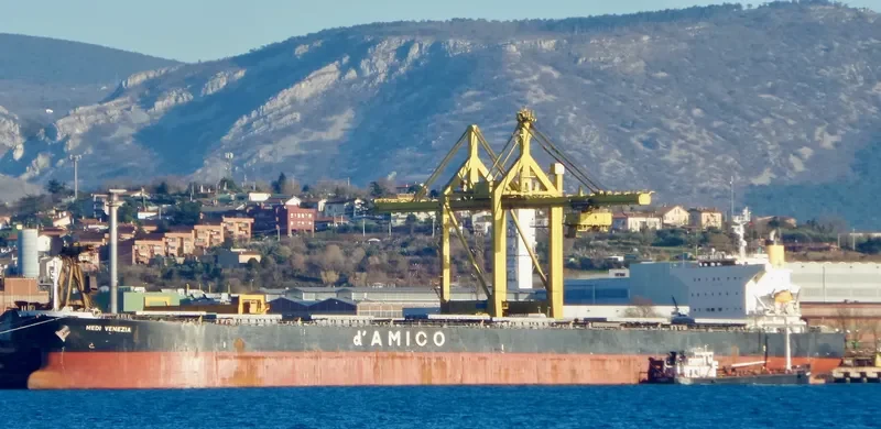 OMICRON LIGHT Bulk Carrier IMO 9302774 photo 8