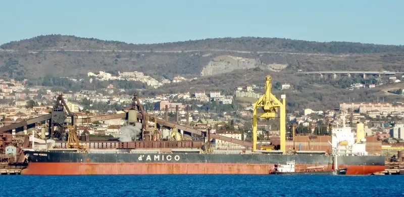 OMICRON LIGHT Bulk Carrier IMO 9302774 photo 9