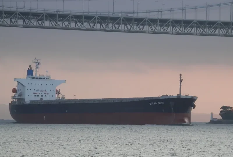 MIM VANGELIS JR Bulk Carrier IMO 9302786 photo 2