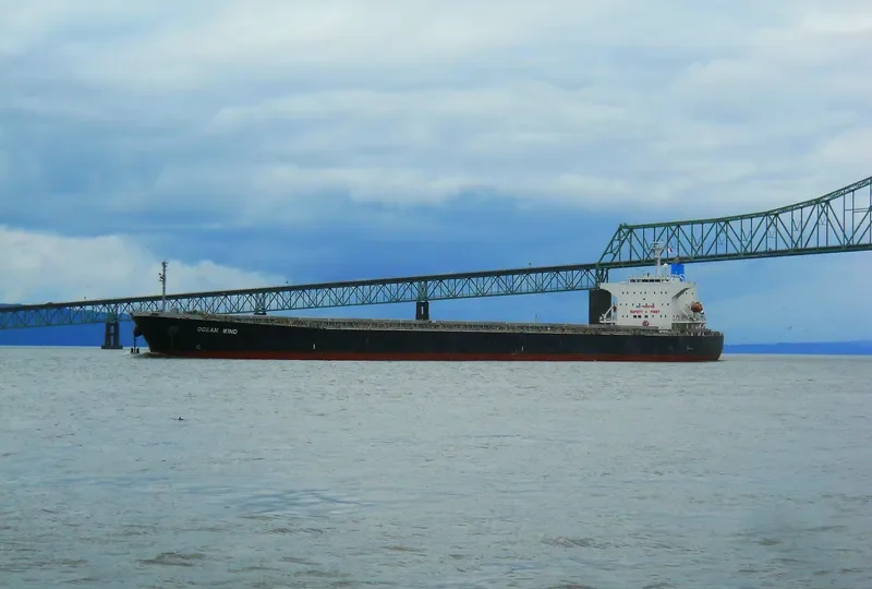MIM VANGELIS JR Bulk Carrier IMO 9302786 photo 5