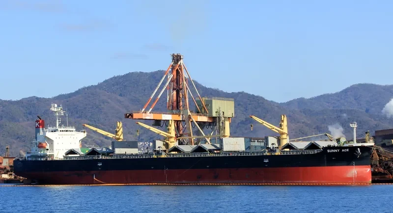 ANTAKYA M Bulk Carrier IMO 9302803 photo 3