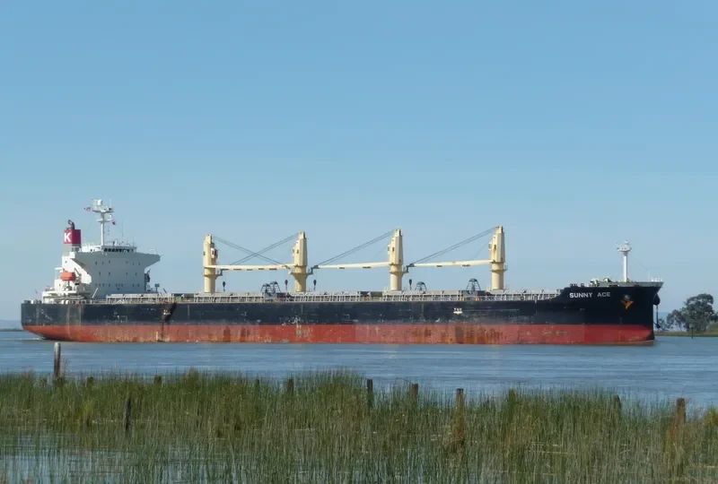 ANTAKYA M Bulk Carrier IMO 9302803 photo 6