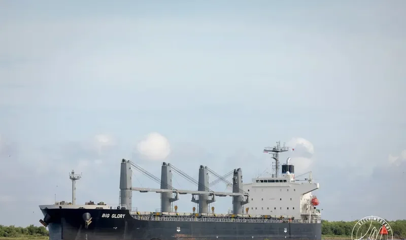 BAO SHUN Bulk Carrier IMO 9302815 photo 5