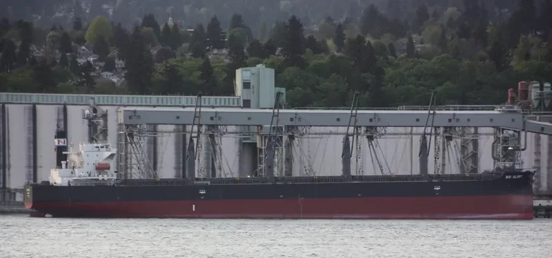 BAO SHUN Bulk Carrier IMO 9302815 photo 8