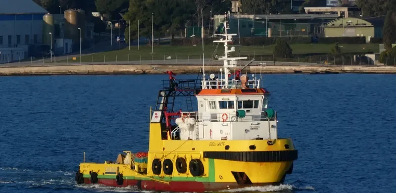 IEVOLI WHITE Offshore Vessel IMO 9302853 photo 7