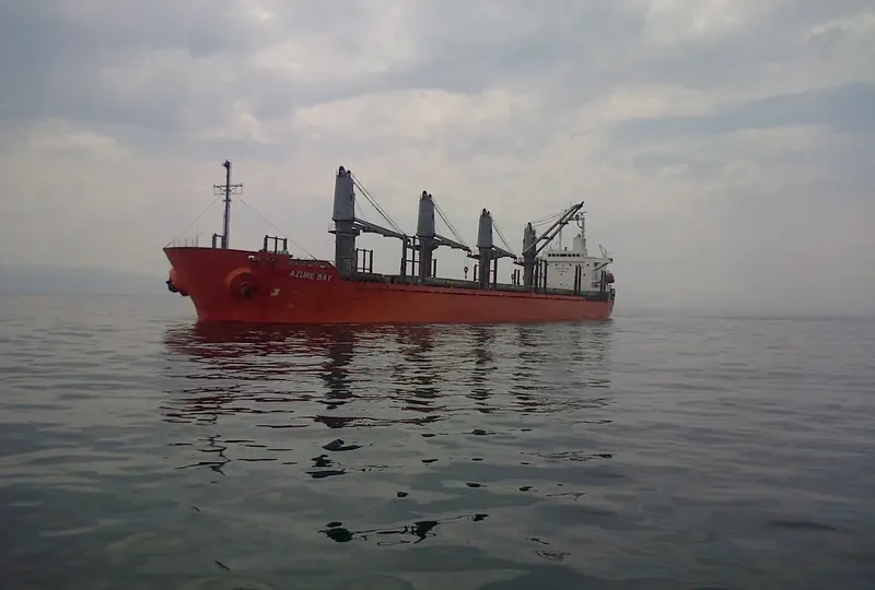 TEAM SAMBA Bulk Carrier IMO 9302918 photo 7