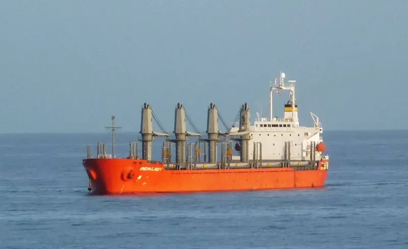 TEAM SAMBA Bulk Carrier IMO 9302918 photo 8