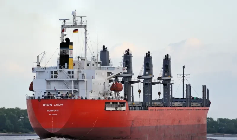 TEAM SAMBA Bulk Carrier IMO 9302918 photo 9