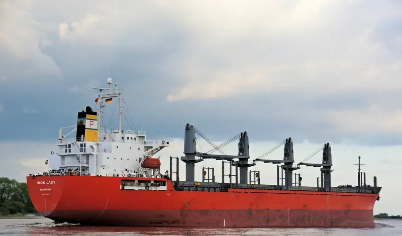 TEAM SAMBA Bulk Carrier IMO 9302918 photo 10