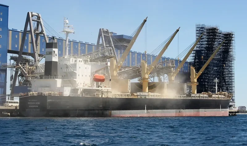 OCEAN ACE Bulk Carrier IMO 9303027 photo 6