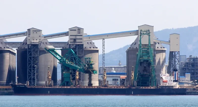 THOR MAGNHILD Bulk Carrier IMO 9303041 photo 2