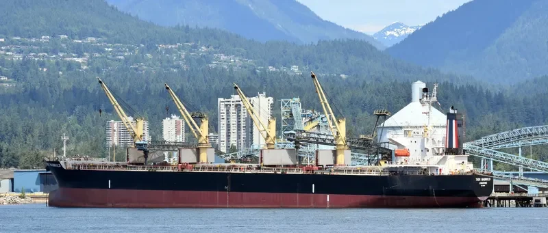 THOR MAGNHILD Bulk Carrier IMO 9303041 photo 7