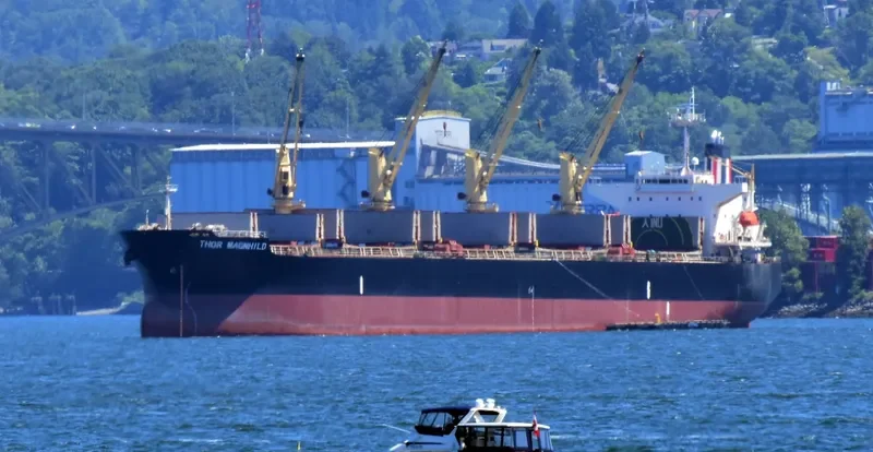 THOR MAGNHILD Bulk Carrier IMO 9303041 photo 8