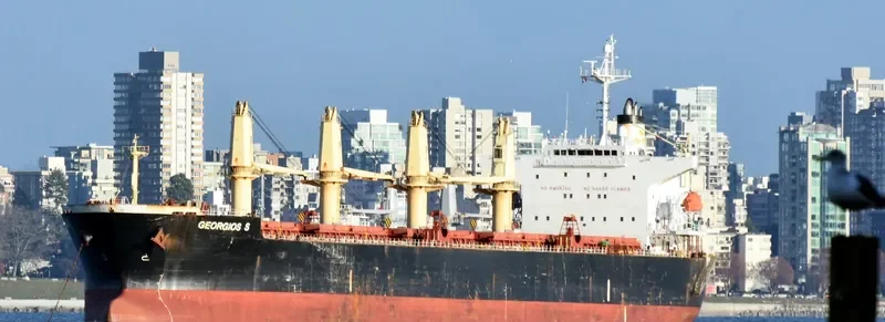SILVER STAR Bulk Carrier IMO 9303053 photo 4