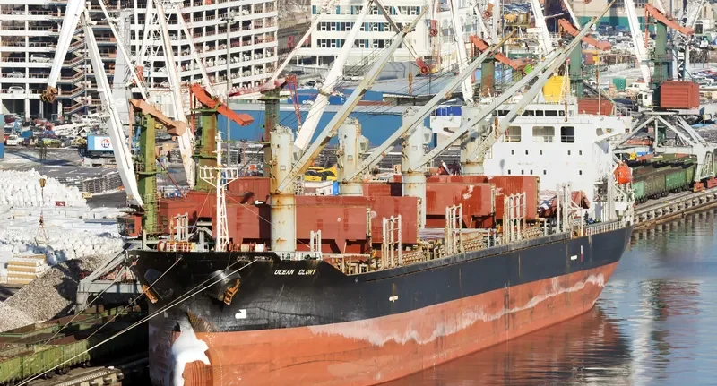 OCEAN GLORY Bulk Carrier IMO 9303077