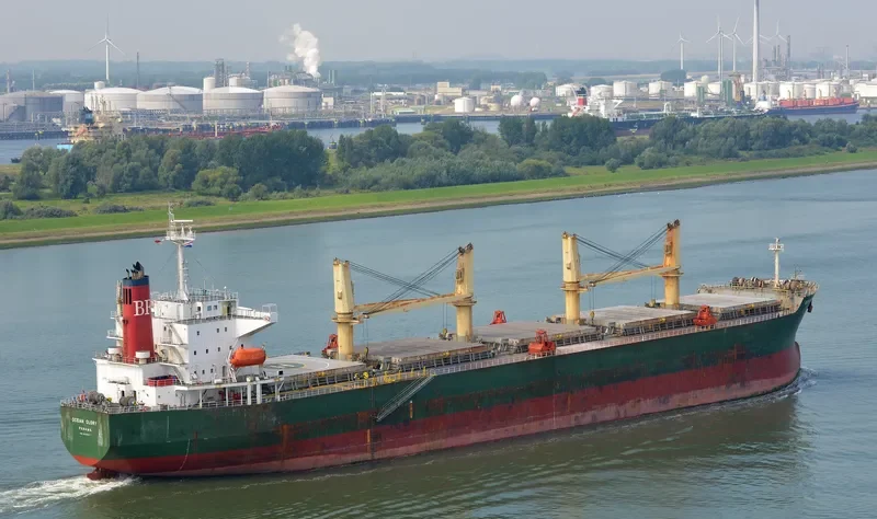 OCEAN GLORY Bulk Carrier IMO 9303077 photo 3