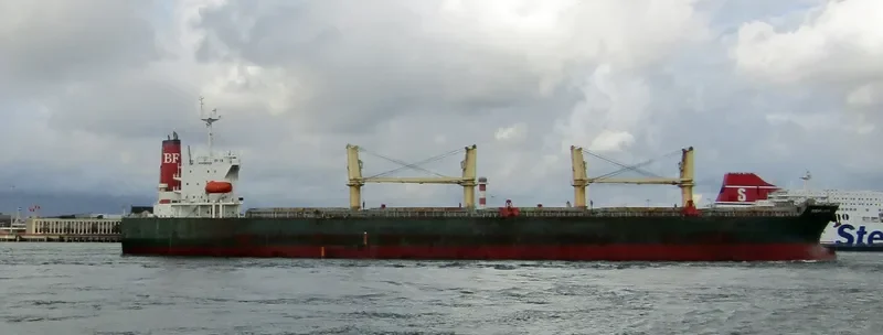 OCEAN GLORY Bulk Carrier IMO 9303077 photo 5