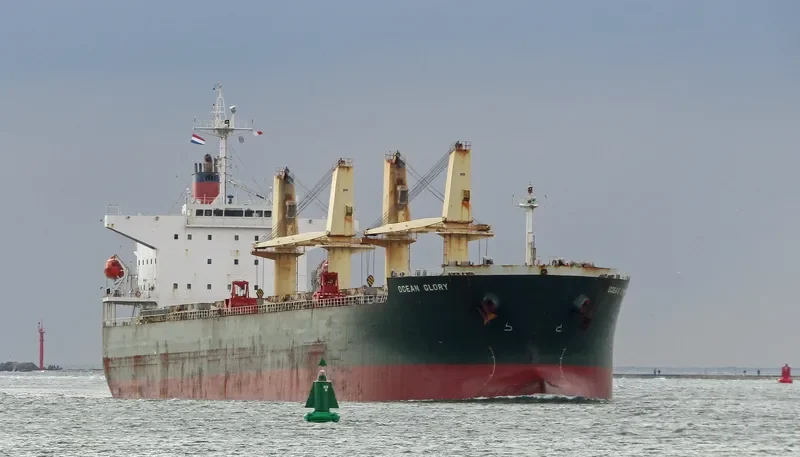 OCEAN GLORY Bulk Carrier IMO 9303077 photo 6