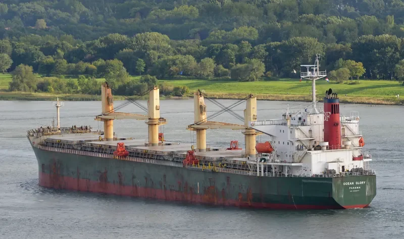 OCEAN GLORY Bulk Carrier IMO 9303077 photo 7
