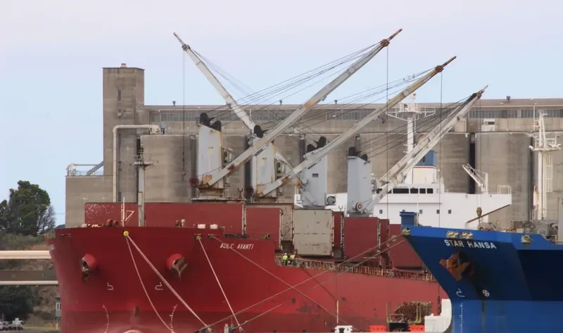 PVT SAPPHIRE Bulk Carrier IMO 9303089